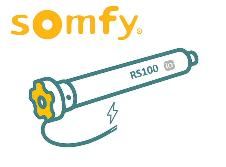 Somfy RS100 230v io